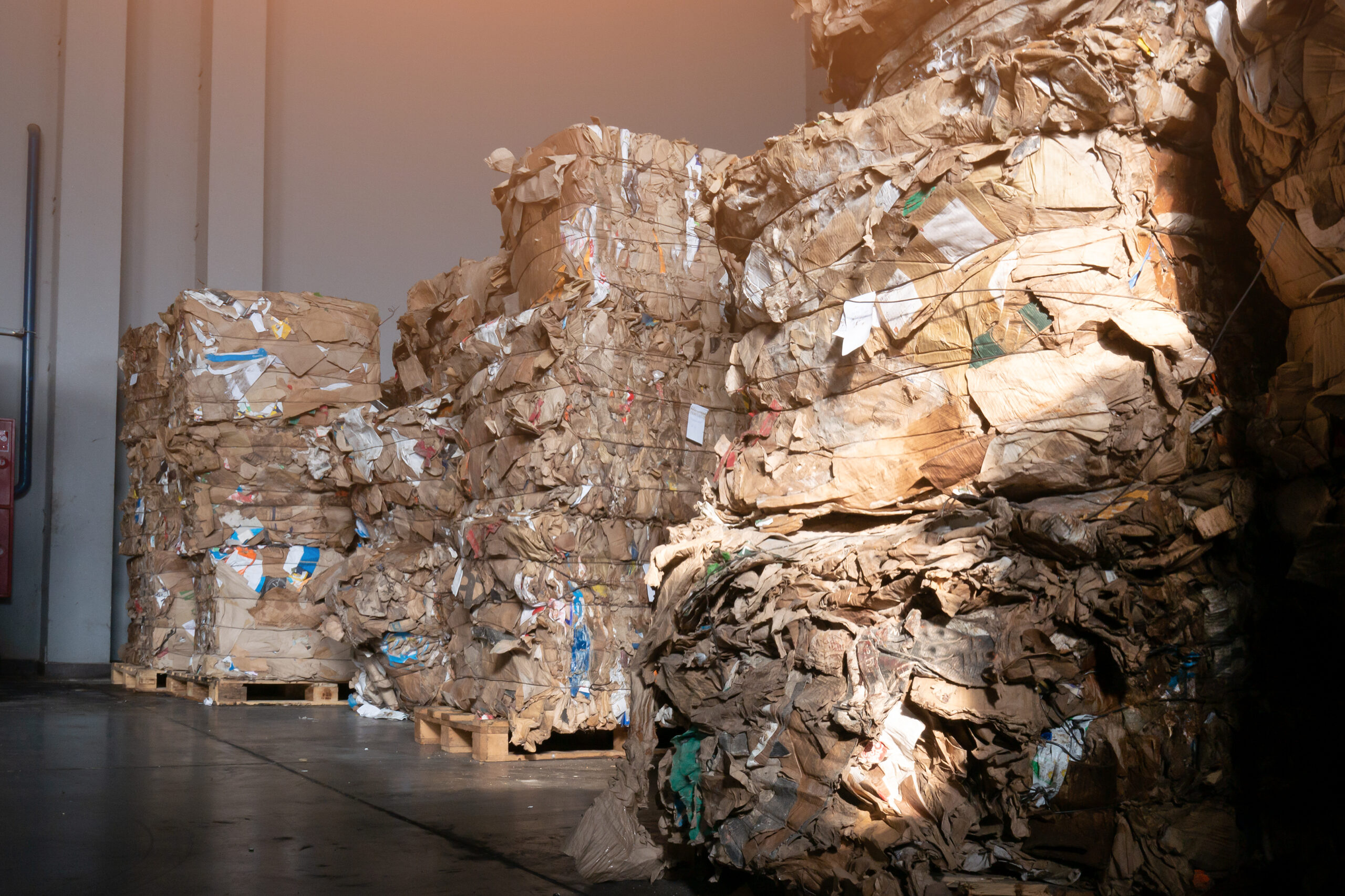 stacked-bales-of-recycled-cardboard-in-a-warehouse-2026-03-26-06-51-12-utc